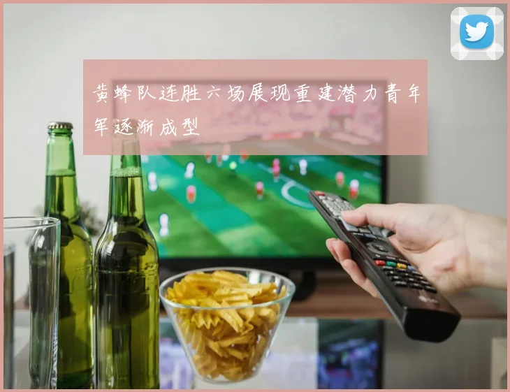 黄蜂队连胜六场展现重建潜力青年军逐渐成型